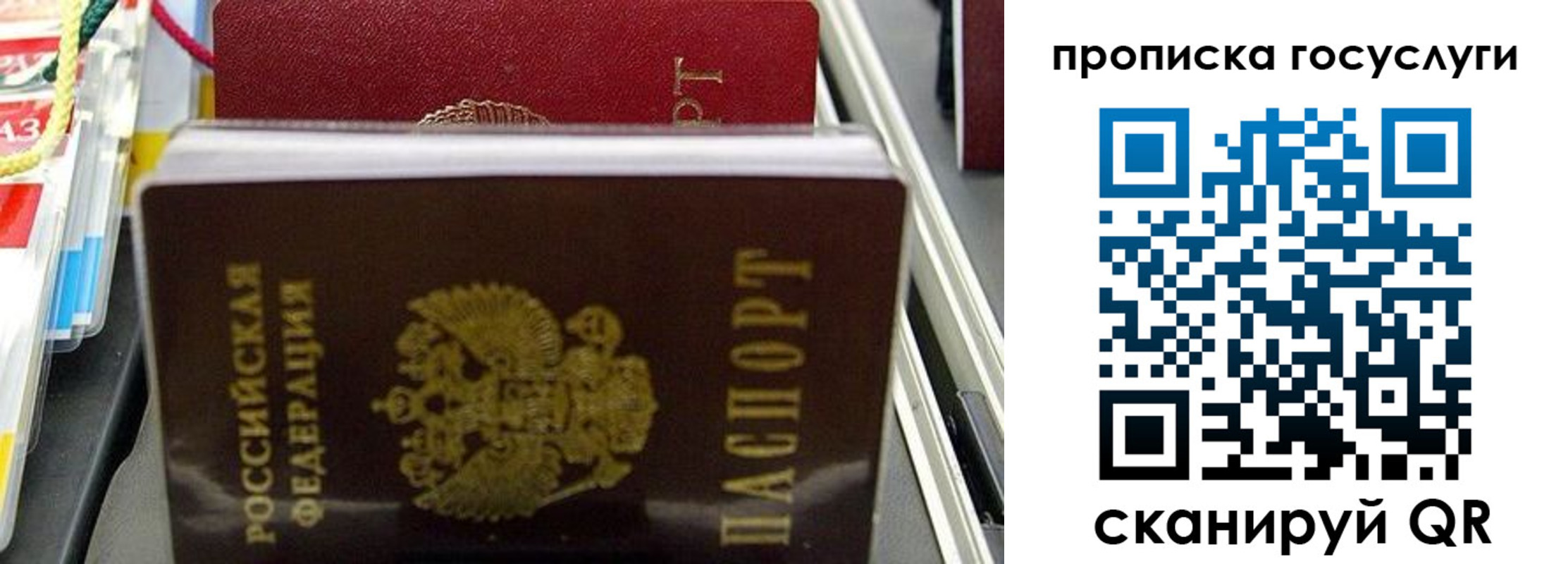 где прописаться в Камышине